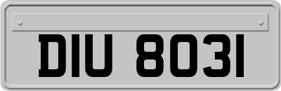 DIU8031