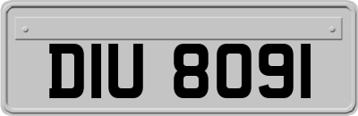 DIU8091