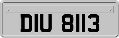 DIU8113