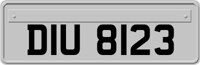 DIU8123