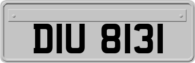 DIU8131