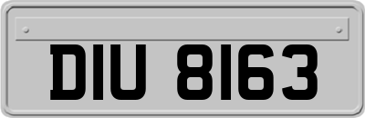 DIU8163