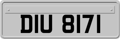 DIU8171