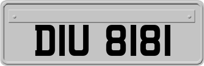 DIU8181