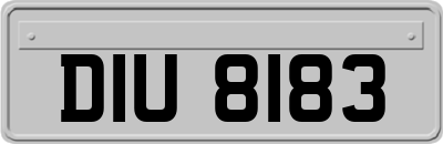 DIU8183