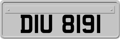 DIU8191