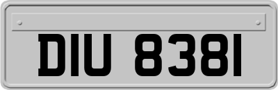 DIU8381