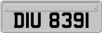 DIU8391