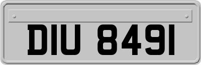 DIU8491
