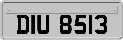 DIU8513