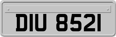DIU8521