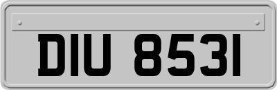 DIU8531