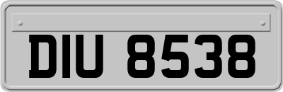 DIU8538