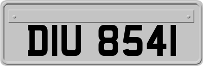 DIU8541