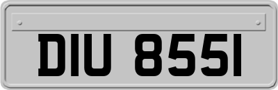 DIU8551