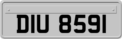 DIU8591