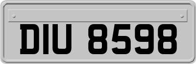 DIU8598