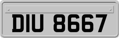 DIU8667