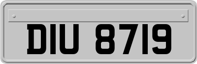 DIU8719