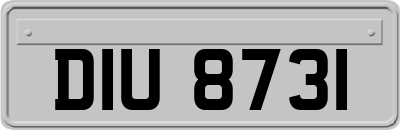 DIU8731