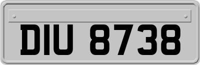 DIU8738