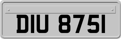 DIU8751