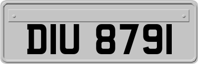 DIU8791