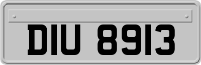 DIU8913