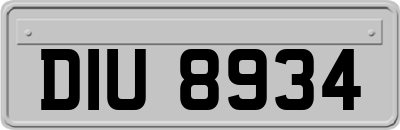 DIU8934