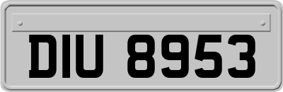 DIU8953