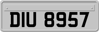 DIU8957