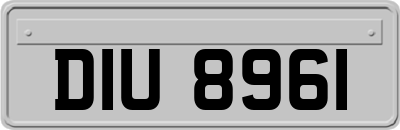 DIU8961