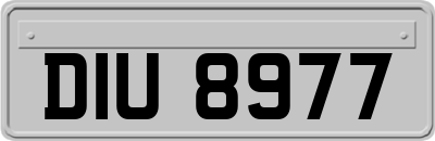 DIU8977