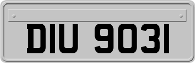 DIU9031