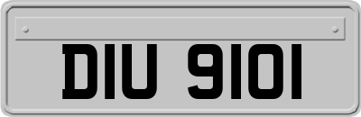 DIU9101