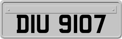 DIU9107