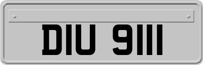 DIU9111