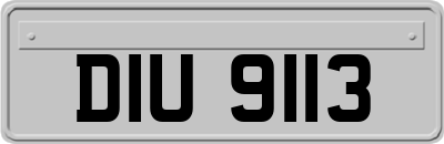 DIU9113