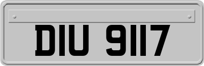 DIU9117