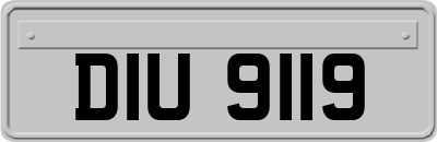 DIU9119