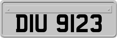 DIU9123