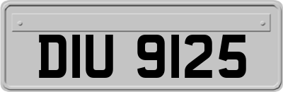 DIU9125
