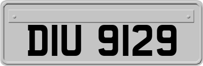 DIU9129