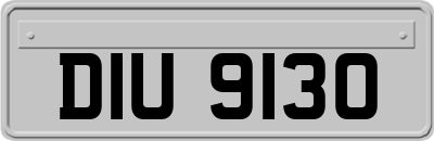 DIU9130