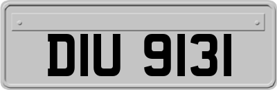 DIU9131