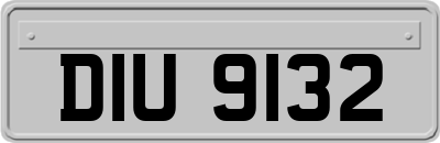 DIU9132