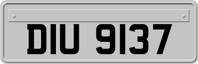 DIU9137