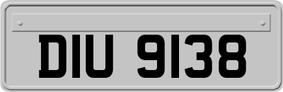 DIU9138