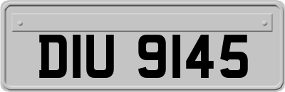 DIU9145
