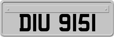 DIU9151